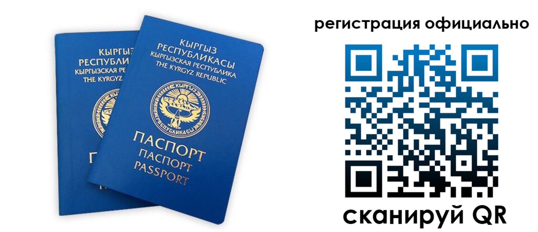 прописка поиск в Заволжске